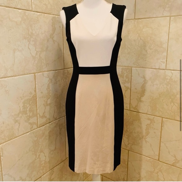 WHBM Sleeveless V-Neck Colorblock Sheath Dress Size 6 - Picture 9 of 9